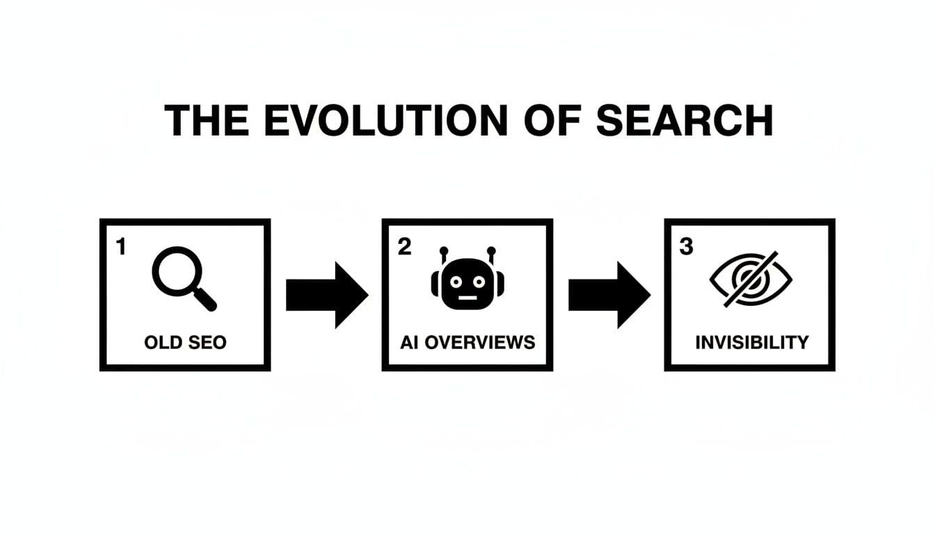 Ai search optimization agency india search evolution